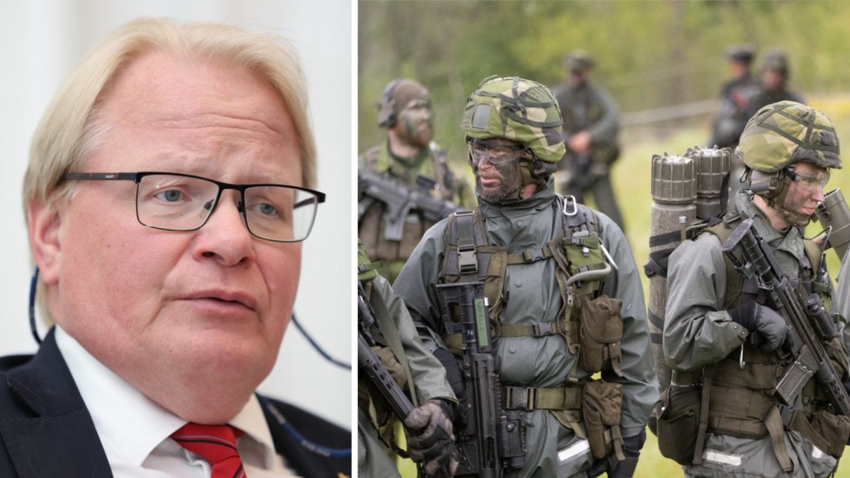 Försvarsminister Peter Hultqvist (S) vill förstärka försvaret.
